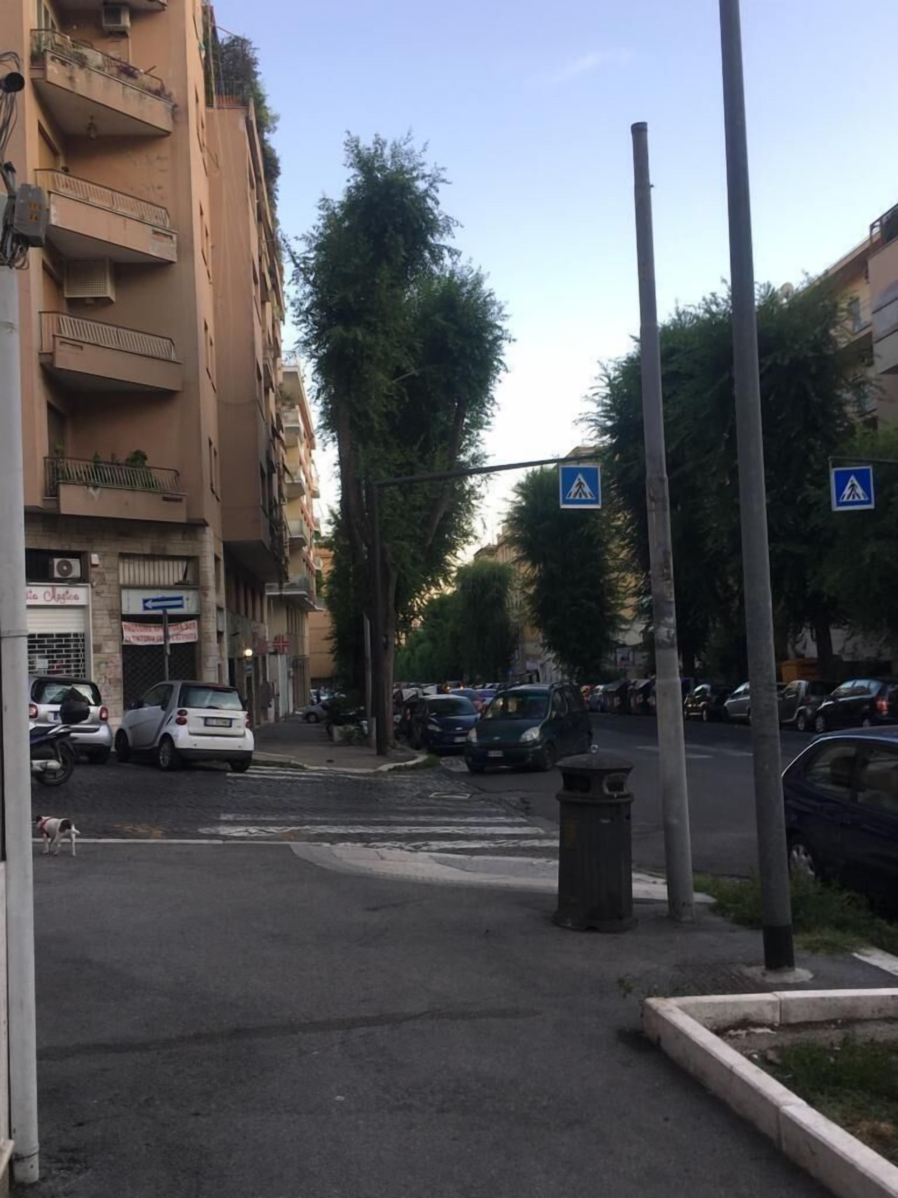 Il Faro Gianicolense — Foto 2